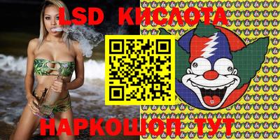 Альфа ПВП Славгород