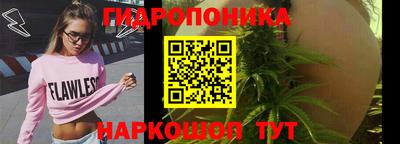 Альфа ПВП Славгород