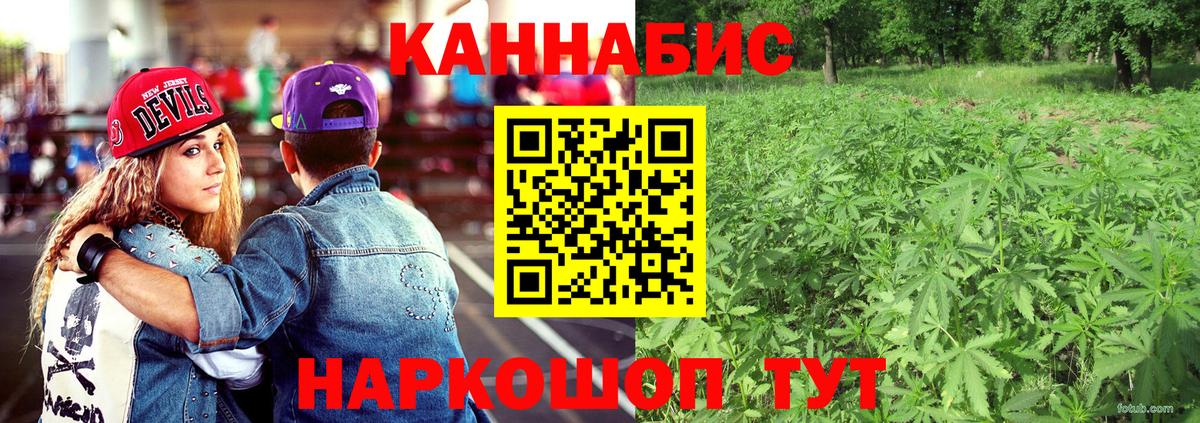 Каннабис ГИДРОПОН  Бошки марихуана THC 21%  Бошки Шишки семена  Орск  Вход с VPN 